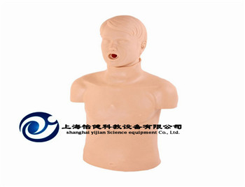 迷你心肺复苏模型