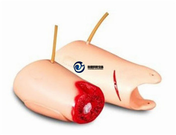 控制出血大腿模型