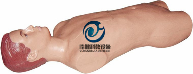 全功能静脉穿刺仿真标准化病人