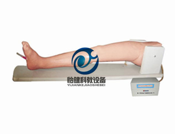 骨髓穿刺及股动、股静脉穿刺模型