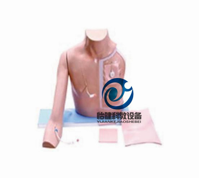静脉介入操作模型(带手臂)